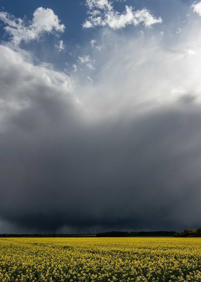 Thunderstorm Is Coming