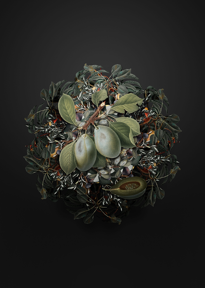 Plum Fruit Wreath