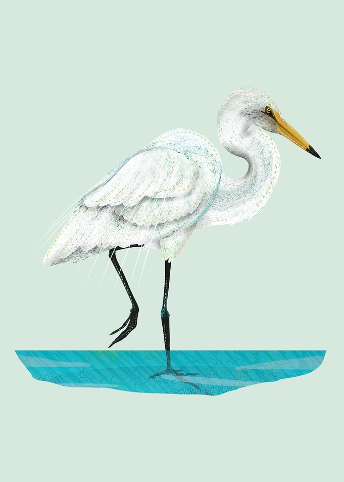 White Heron
