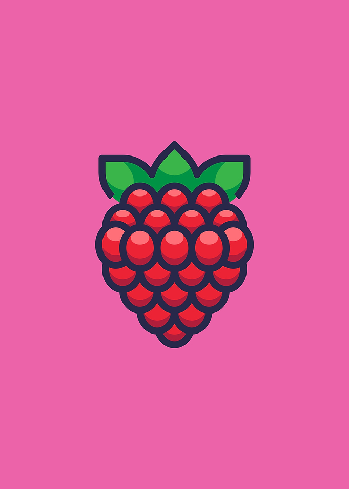 Minimalist pink Raspberry