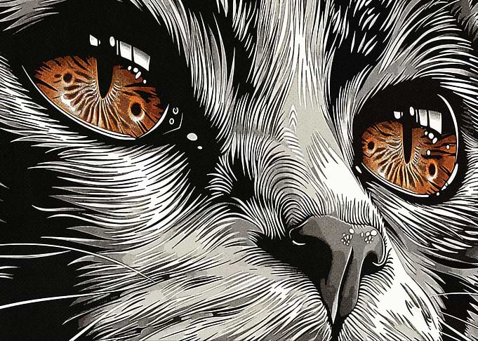 Face Cat Art