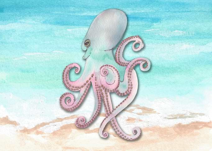 Octopus Watercolor
