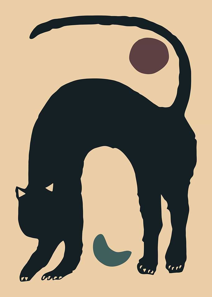 Black Cat