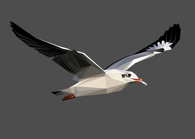 Abstract Flying Dove