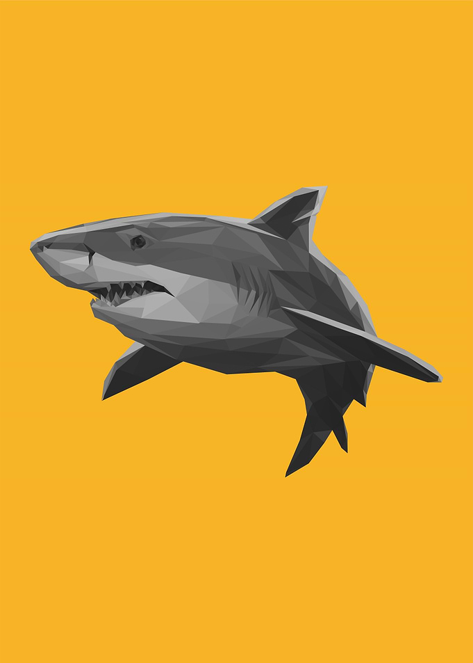 shark