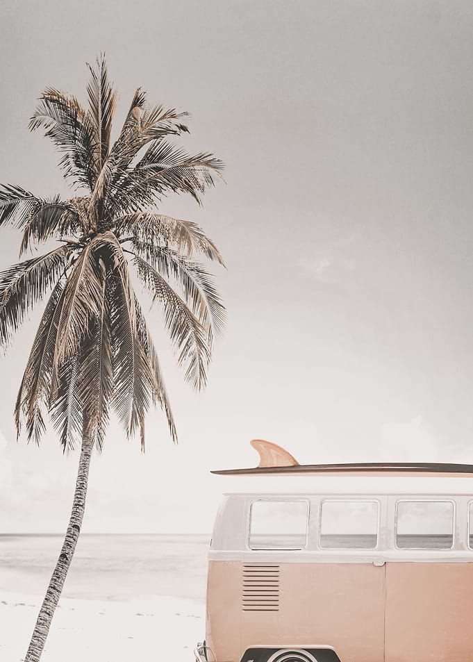 Tropical Palms Paradise