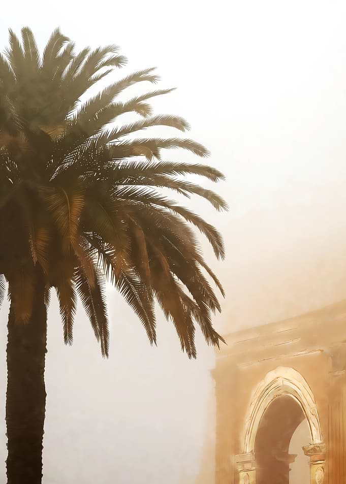 Save Palm Trees