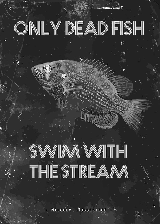 Fishing Funny Quote