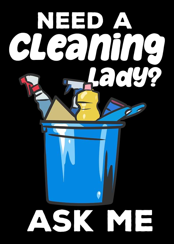 Need A Cleaning Lady House