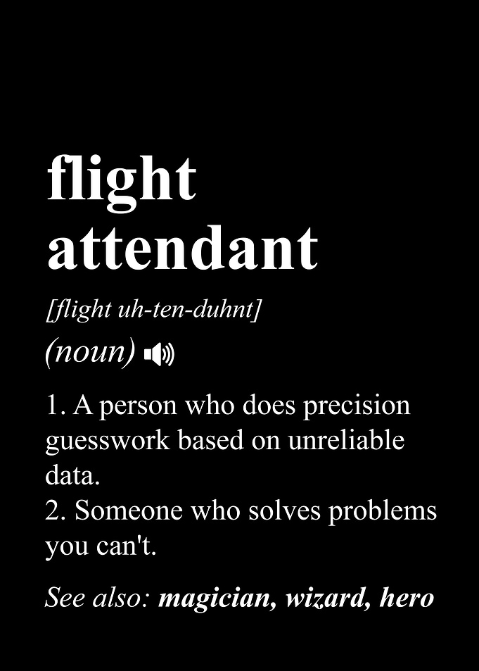 Flight Attendant Funny Job