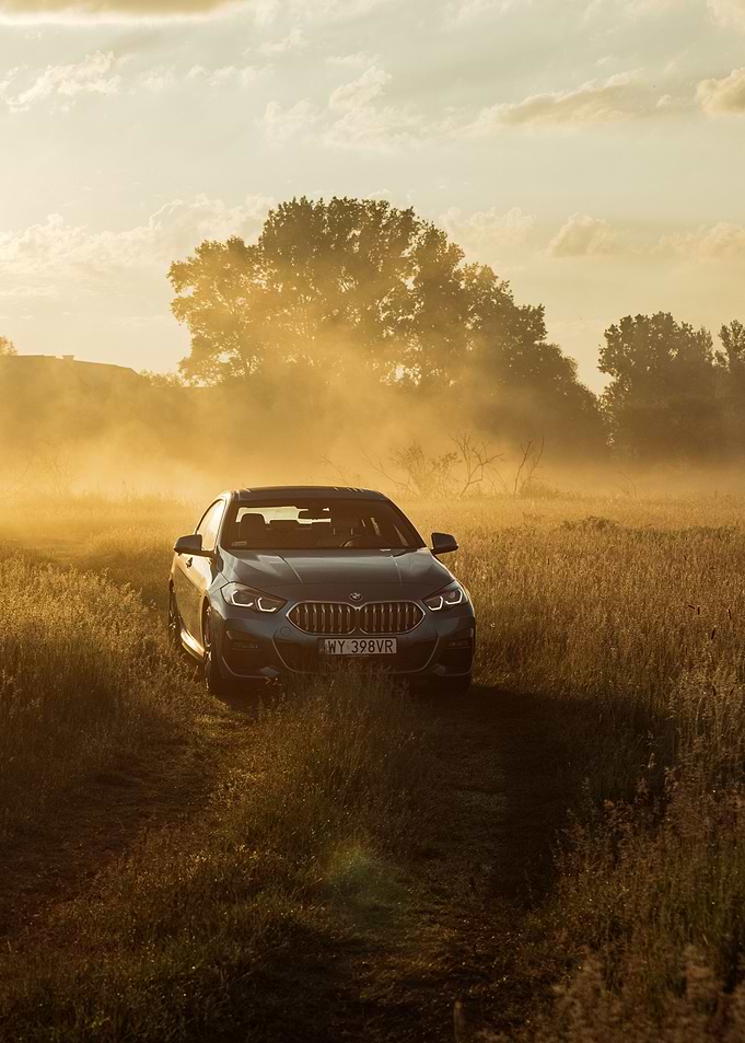 BMW 220i