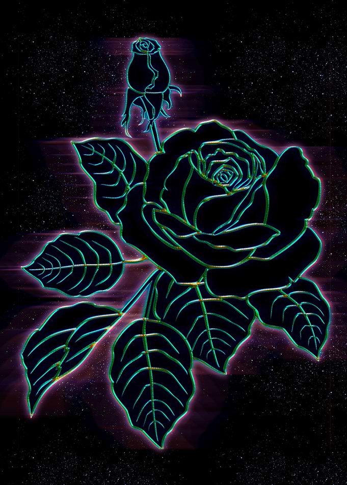 flower in the night