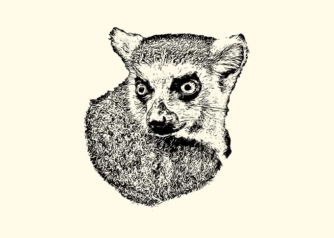 Lemur