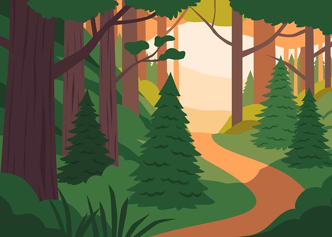Forest Landscape