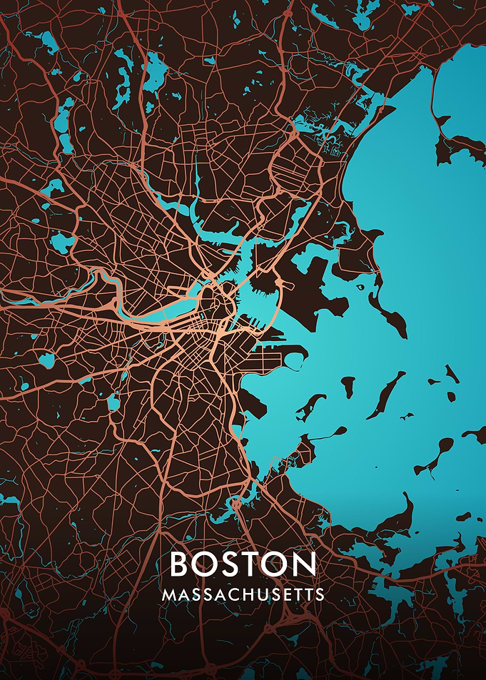 Boston City Map