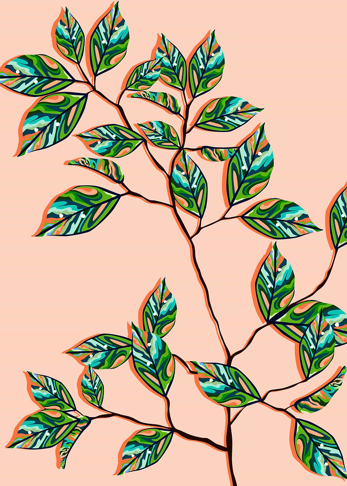 Peach Fuzz Botanical