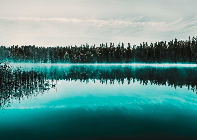 The lake nature landscape