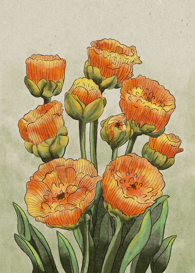 Orange Tulips