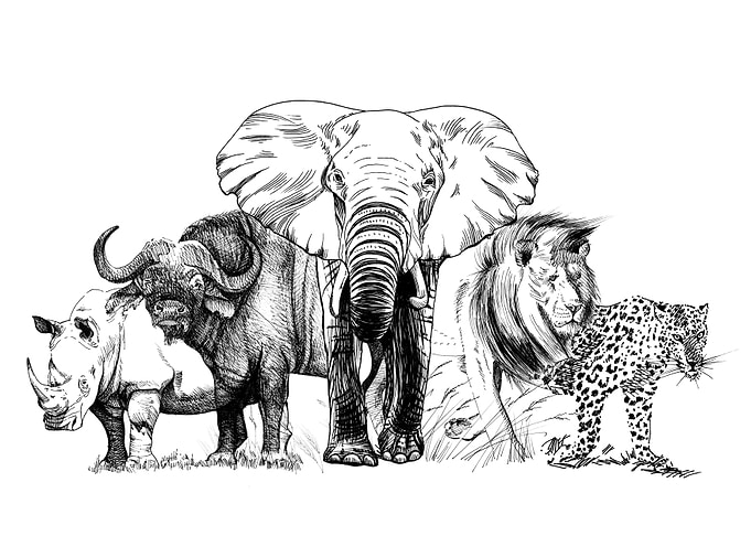 Big five African