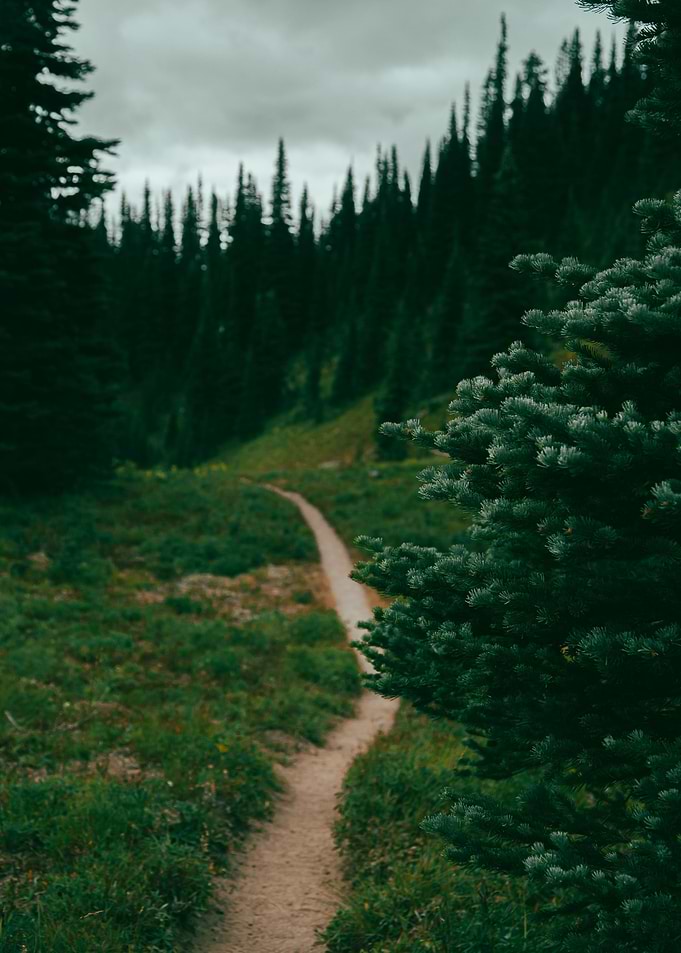 Green Hiking Trail