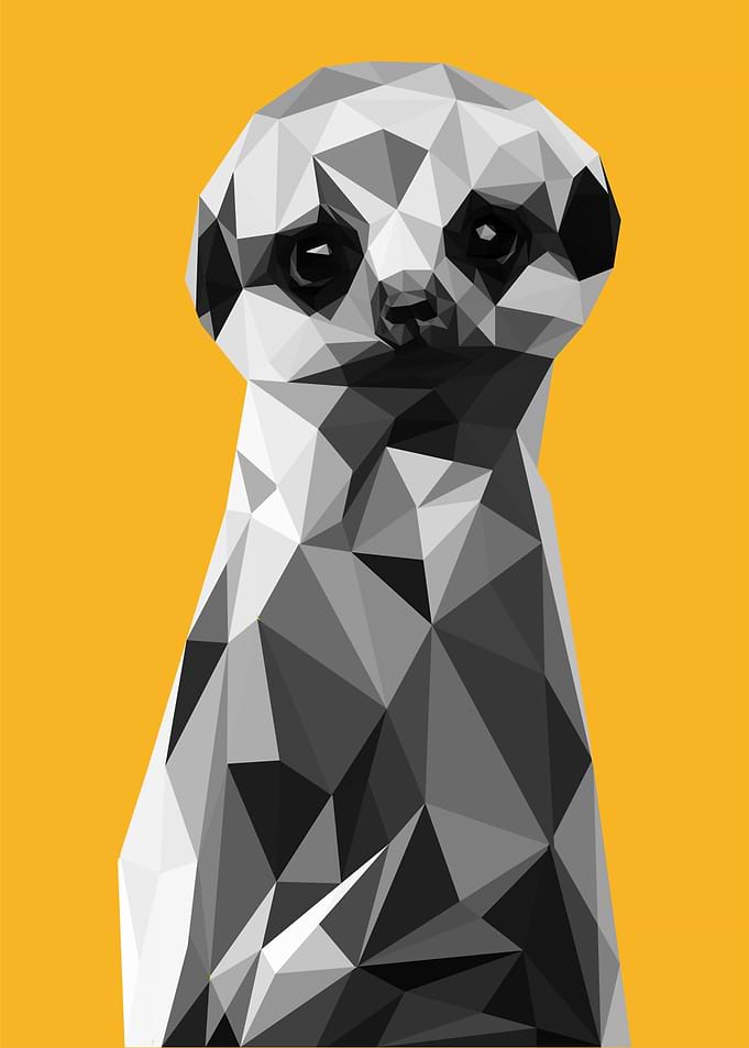 nursery animal merkat