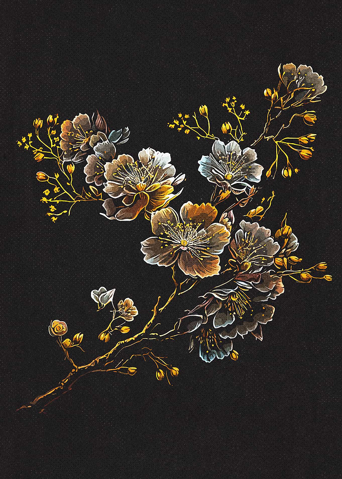 Cherry blossoms Art