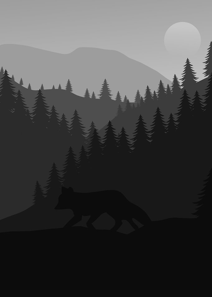 Fox minimalist