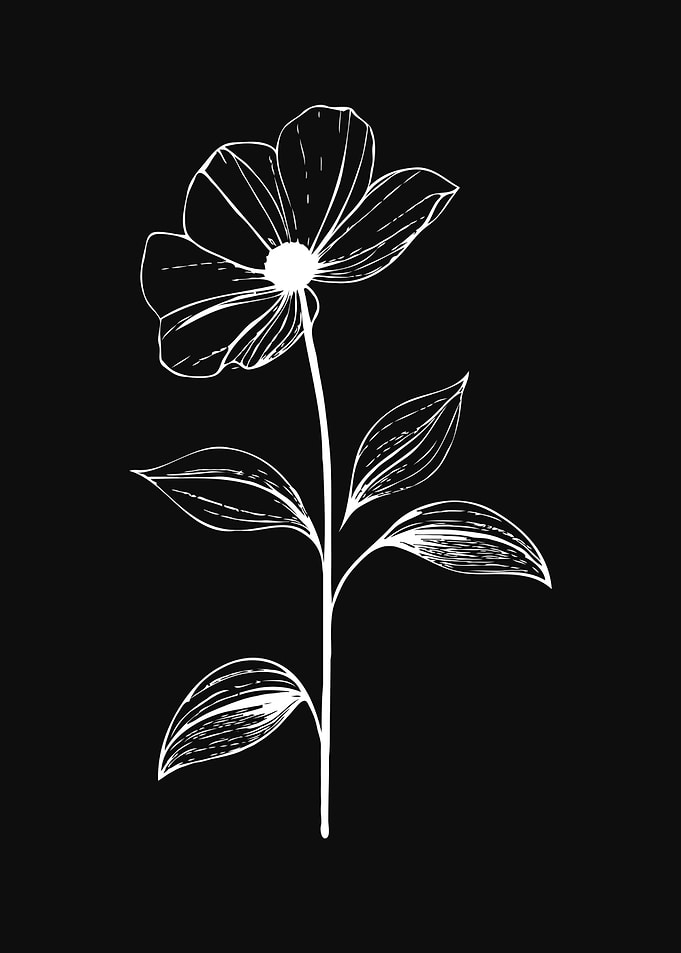 Flower Minimalist Design