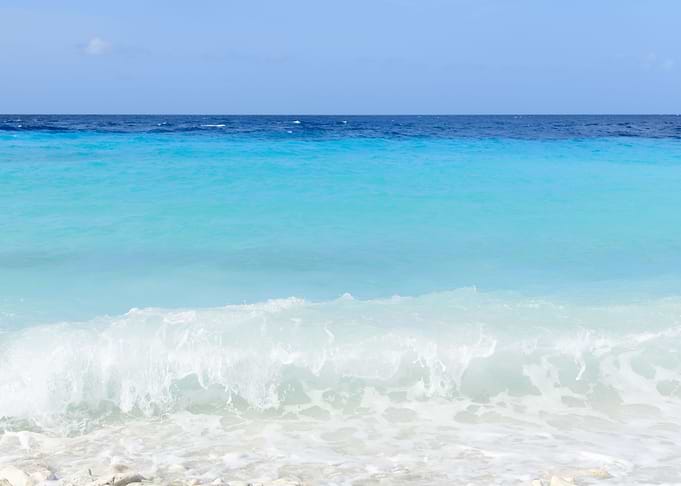 Caribbean Sea Bliss 1