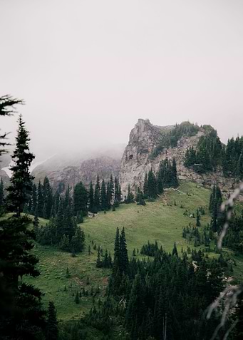 Pacific Northwest Greens