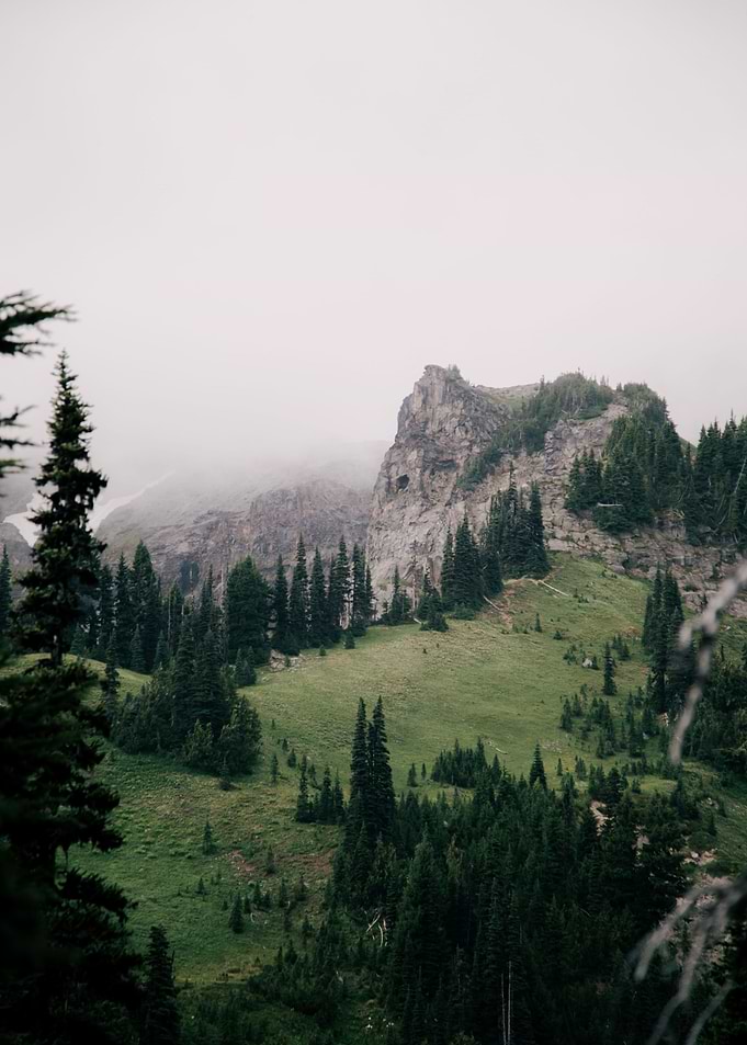 Pacific Northwest Greens
