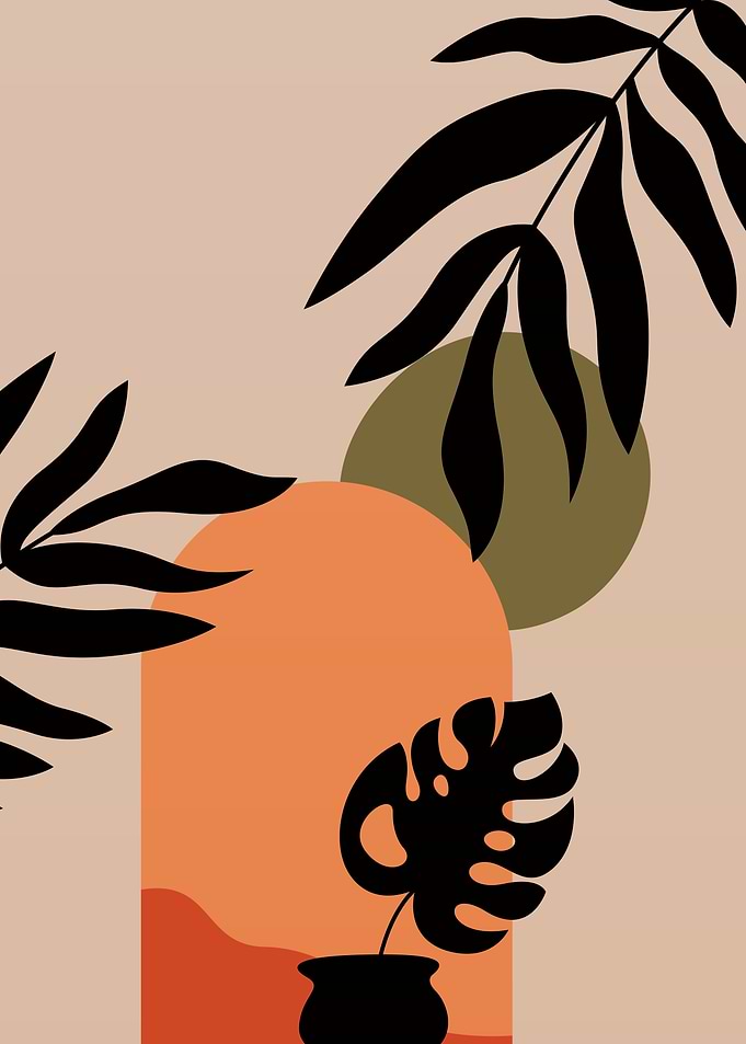 Monstera geometric shapes