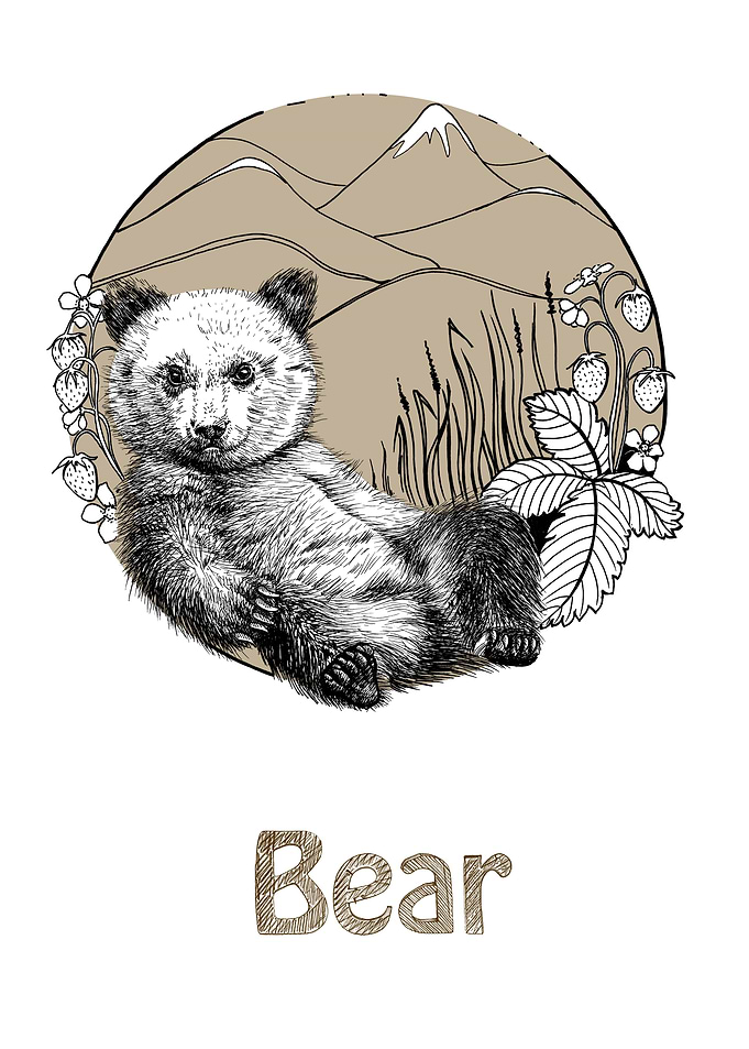 Bear cub