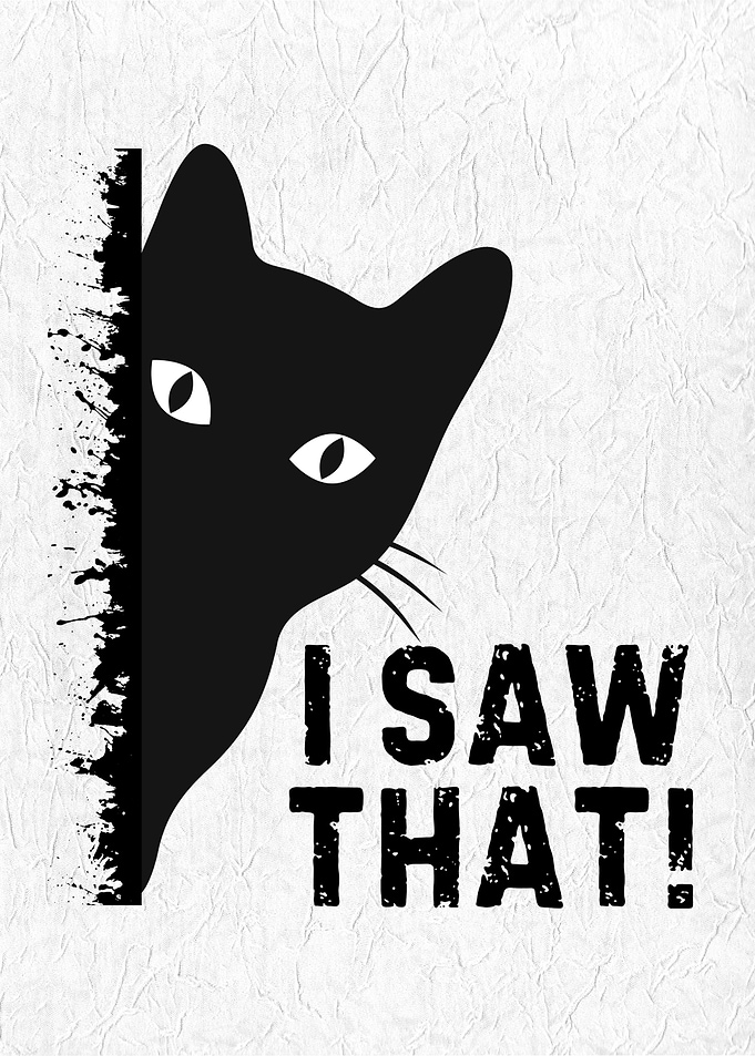 Black Cat I Saw That