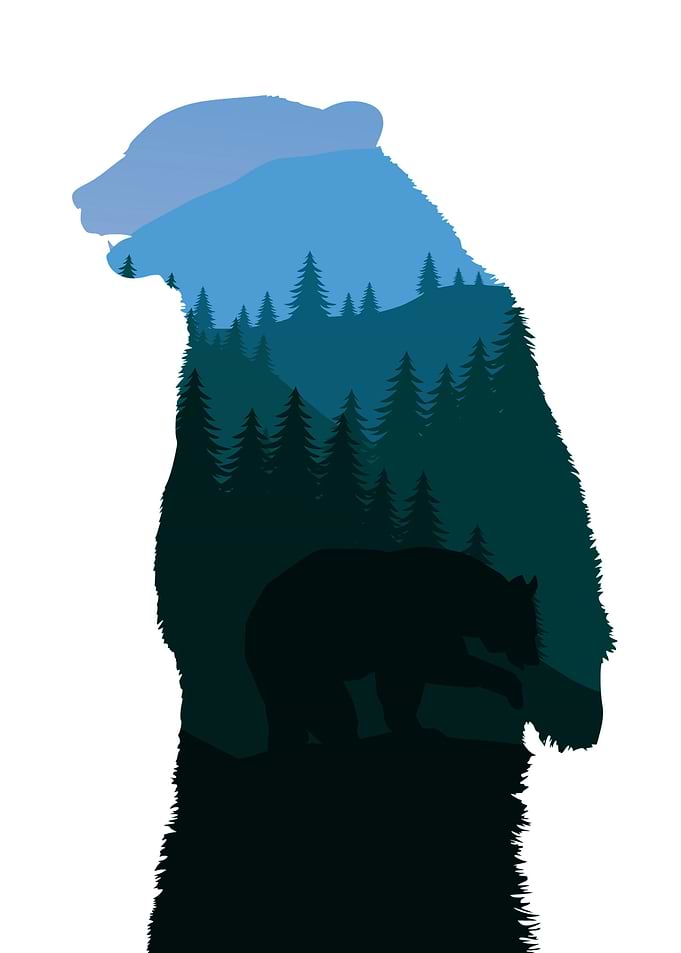 Bear double exposure