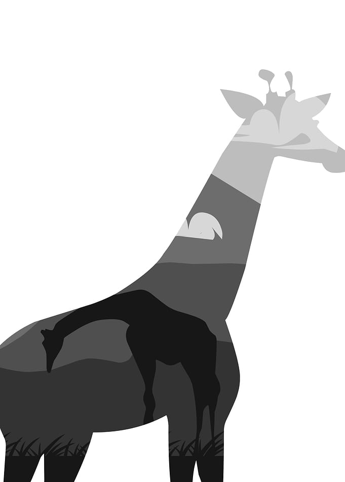 Minimalist giraffe