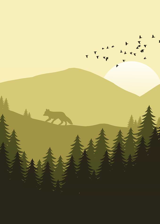 Fox minimalist