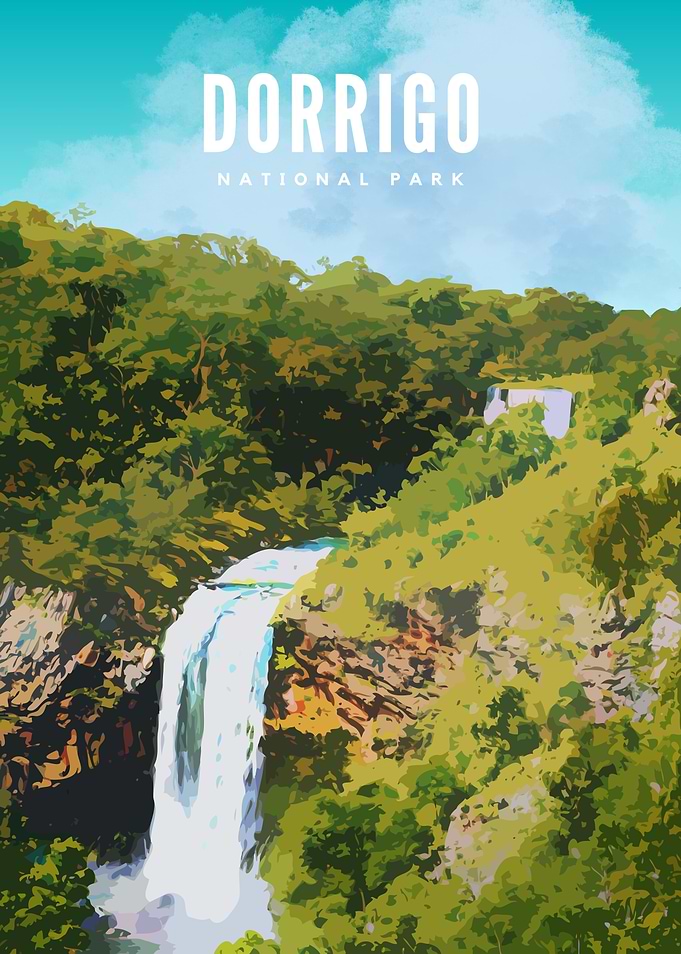 Dorrigo National Park