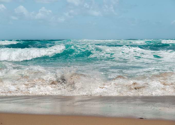 Pacific Splash