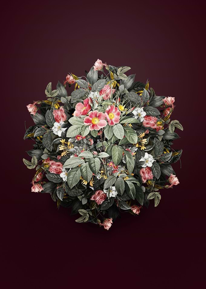 Pasture Rose Flower Wreath