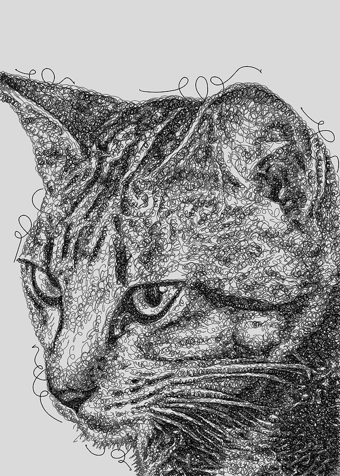 Pet Sketch