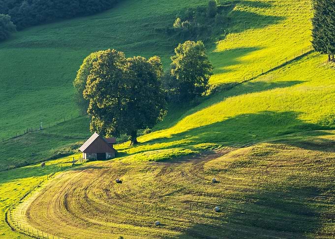 Grassland field