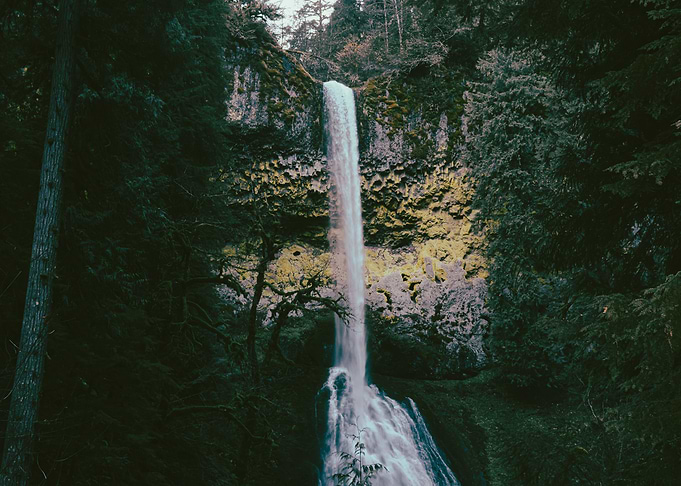 Forest Waterfall