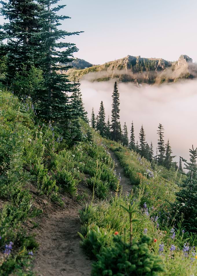 Early Morning Hike