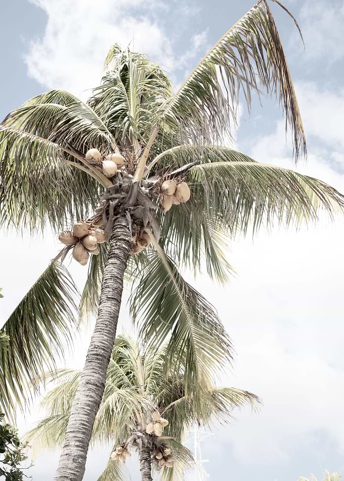 Vintage Summer Palms 1