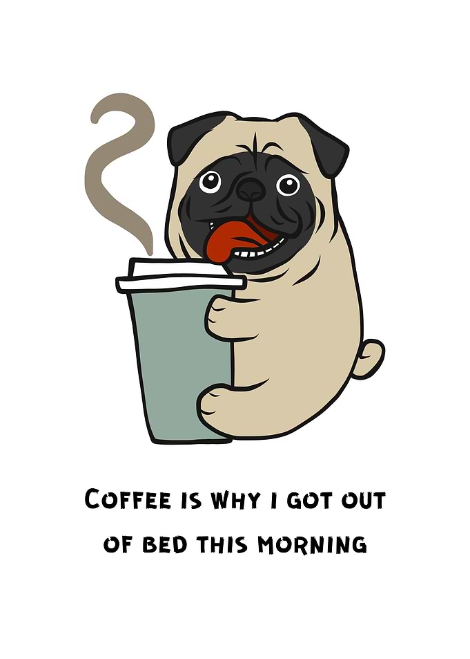 Bulldog Drinking Coffee