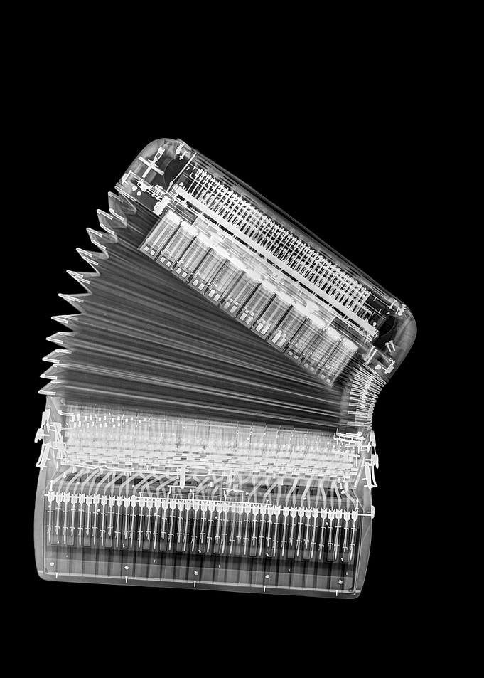 Xray of an Accordion