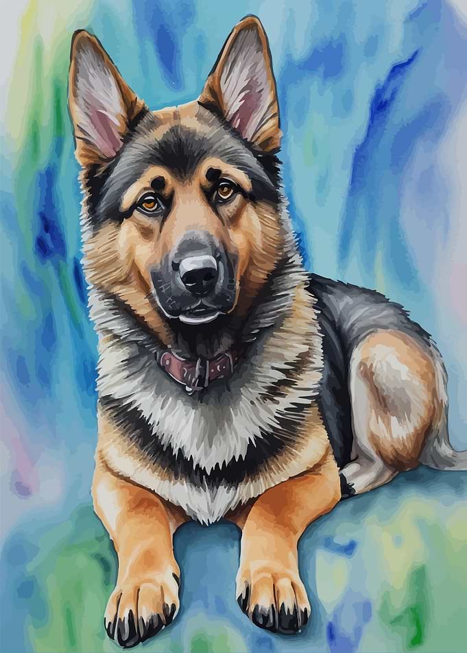 German shepherd dog