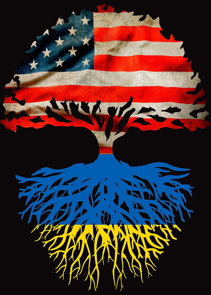Ukraine roots USA flag
