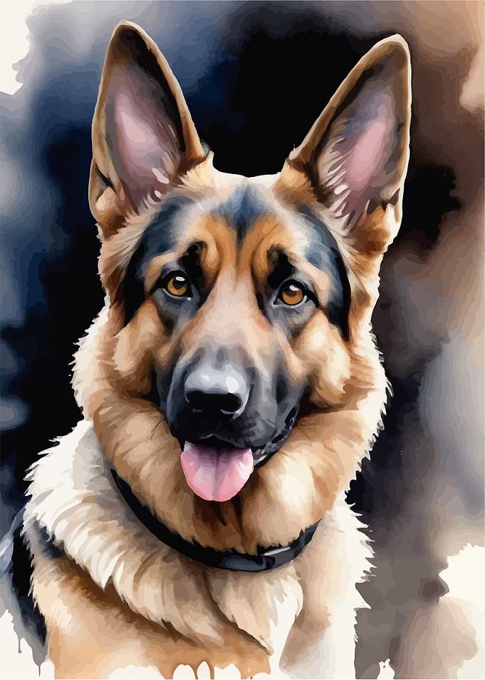 Shepherd dog watercolor